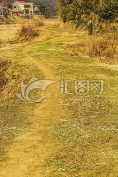 乡间小路