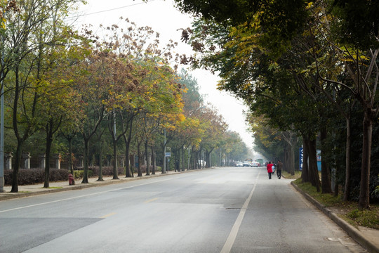 秋韵 公路 浙江的秋天