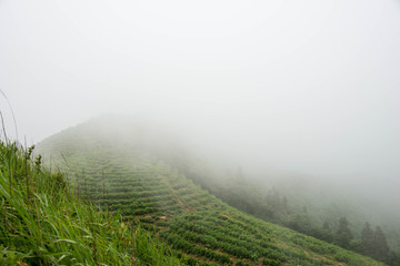 雾山