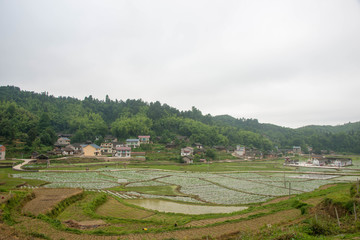 客楼田园