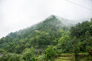 青山人家