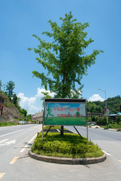 公路绿化