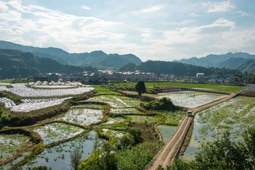 周坪远眺