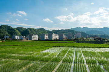 周坪新村