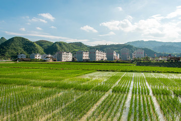 周坪风光