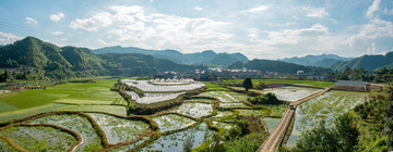 岑巩美丽周坪杂稻制种基地
