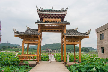 马家寨荷花太极