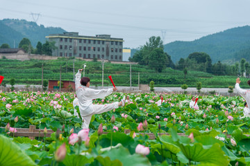 荷花太极