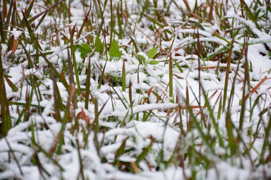 下雪素材