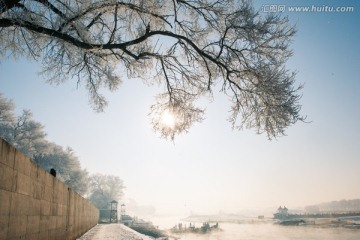 雾淞岛江边雾凇冬景