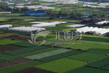 蔬菜基地