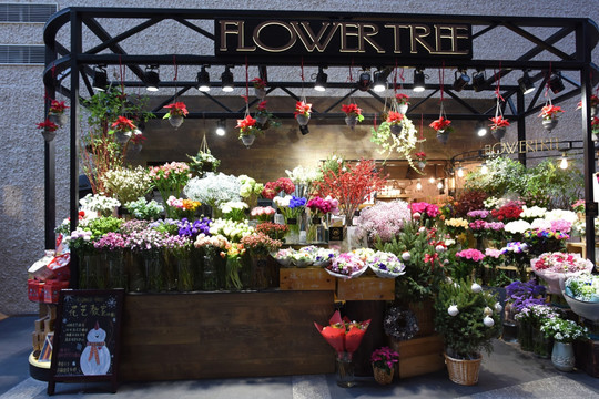 花店 花房 鲜花店