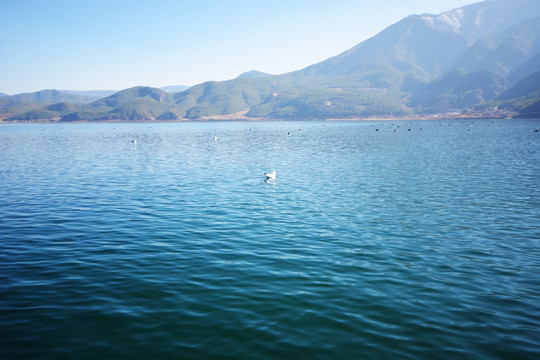 泸沽湖