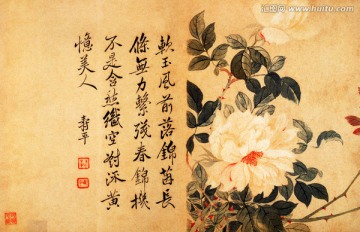 山水花卉