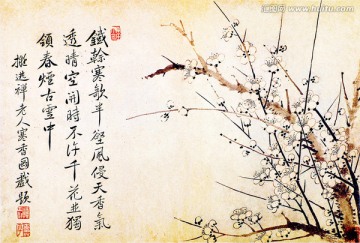寒香图页