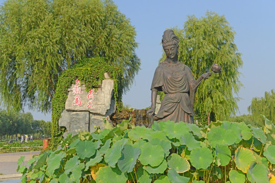 白洋淀风光