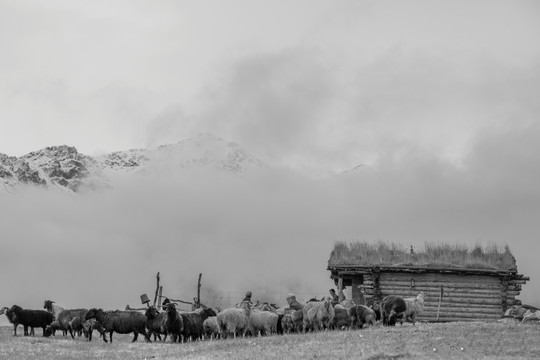 无框画 装饰画 雪山牧场