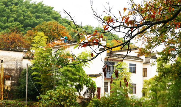 塔川农家秋景