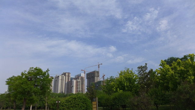 城市公园即景