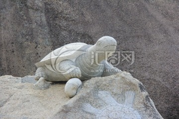 石头乌龟