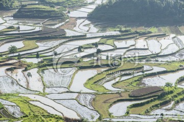 梯田