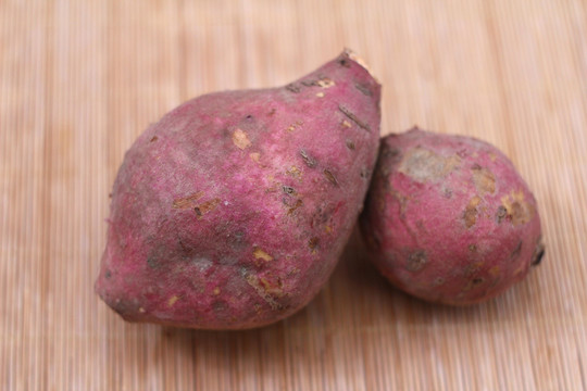 红薯