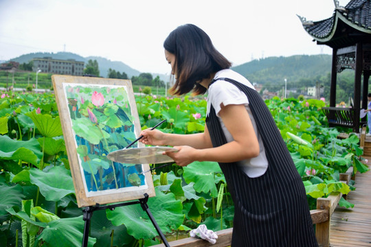 荷花写生