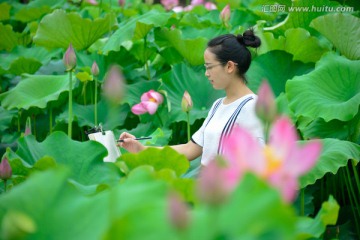 美女写生荷花