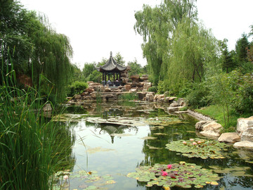 园林水景