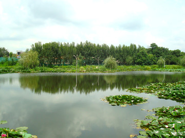 湿地公园