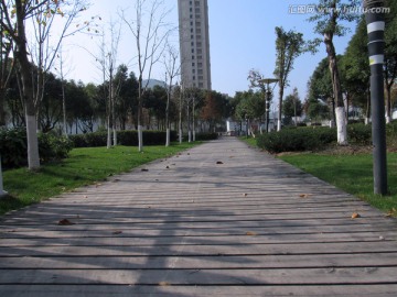 公园小路