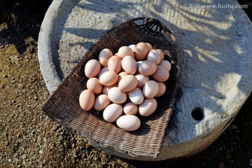农家土鸡蛋