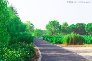 绿化道路 高清