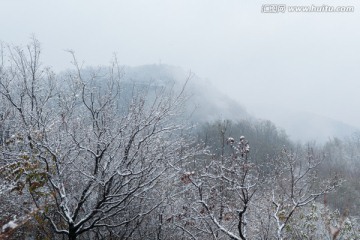 大雪