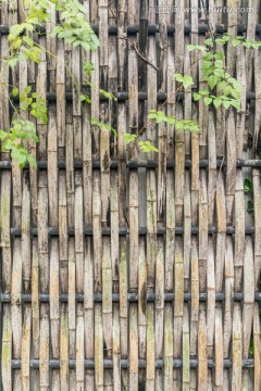 绿叶篱笆墙
