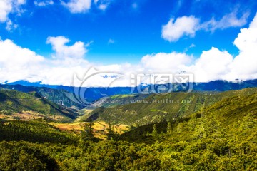 高山 山谷 群山 西藏 白云