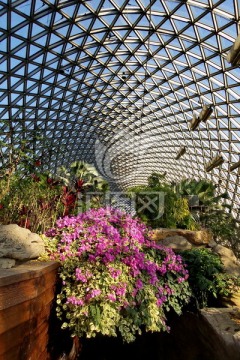 辰山植物园
