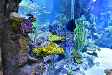 水族馆
