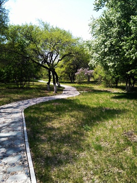 林间小路