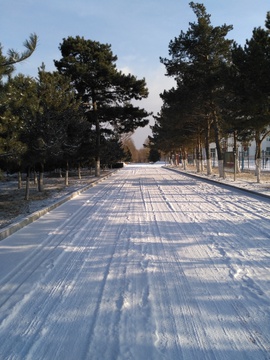 东北雪景