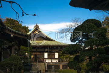 日本神社屋顶