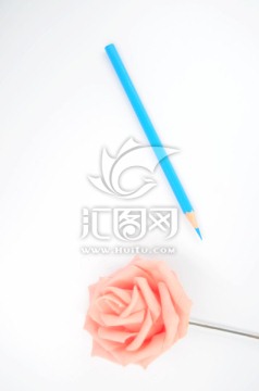 白色背景上的玫瑰花和铅笔