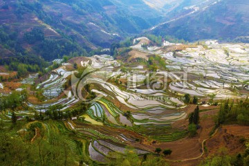 云南元阳梯田美丽壮观的风景