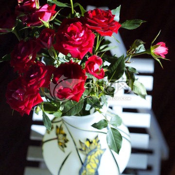 玫瑰花 瓶插小玫瑰 红玫瑰
