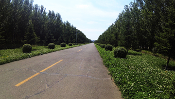 大路