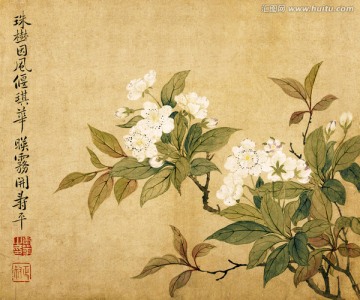 梨花