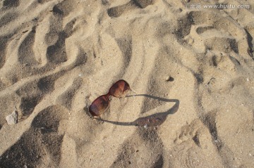 眼镜 沙滩