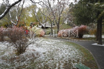 初雪陶然亭