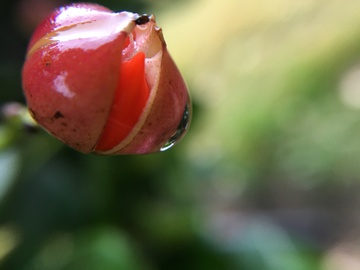 水滴