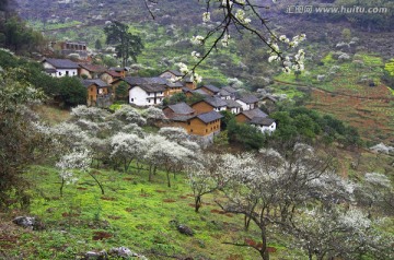 山村